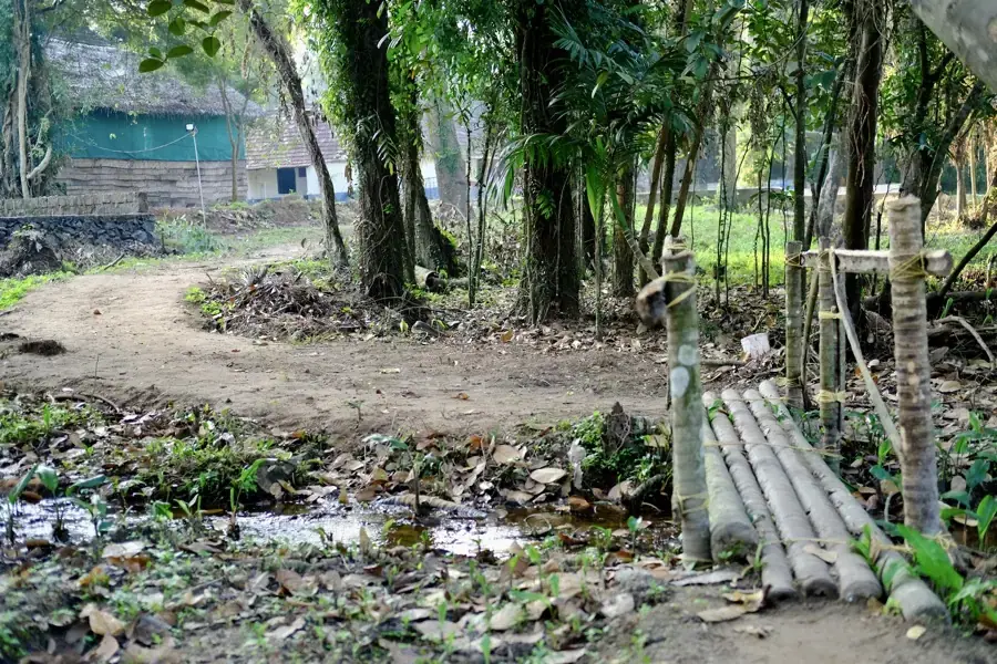 Thiruvankulam - Campus Walkway